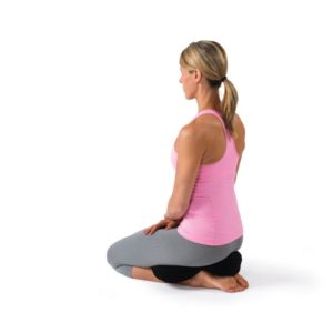 Sara Meeks EZ Posture Pillow – North Bear